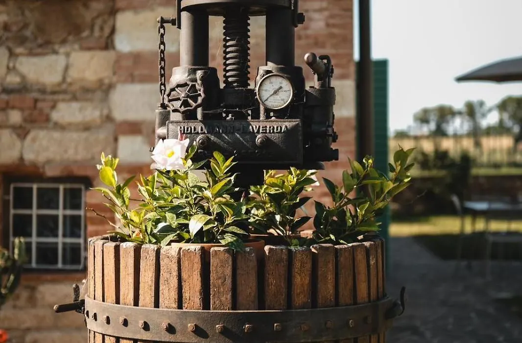Podere Gli Olmi-1